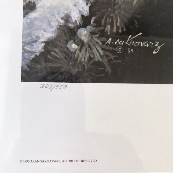 Signed, Limited Edition Print: Winter In My Backyard by Alan Sakhavarz SEALED! - Picture 4 of 7